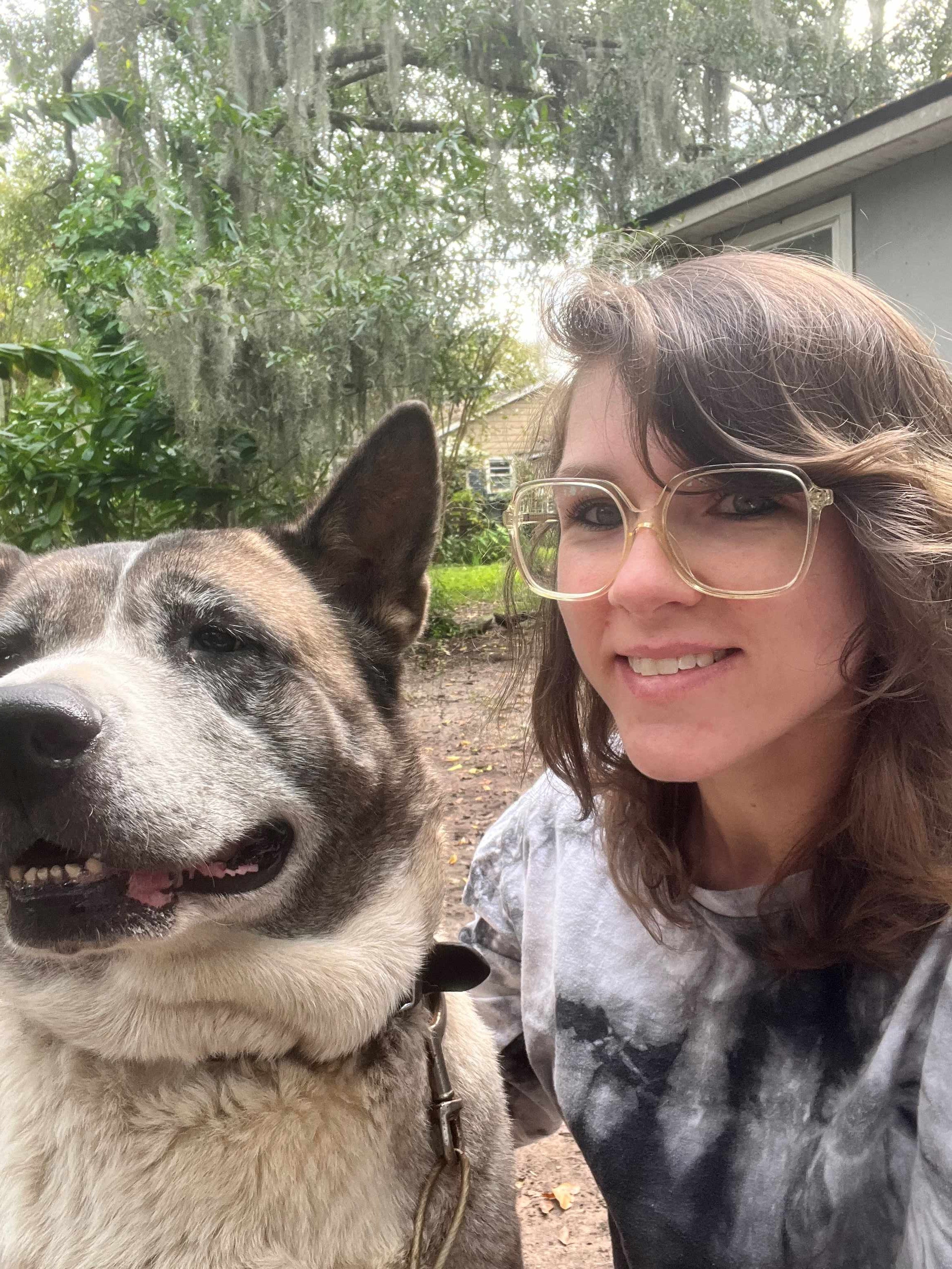 Pet Grooming Mobile Appointments available Mr Anthony Pet Grooming